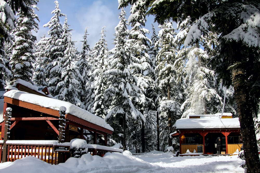 Snowmobile safari in Whistler two log cabins set around snow covered pine trees.