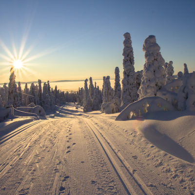 Winter Sunset in Finnish Lapland