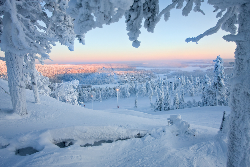 Frozen Forest Finnish Lapland 