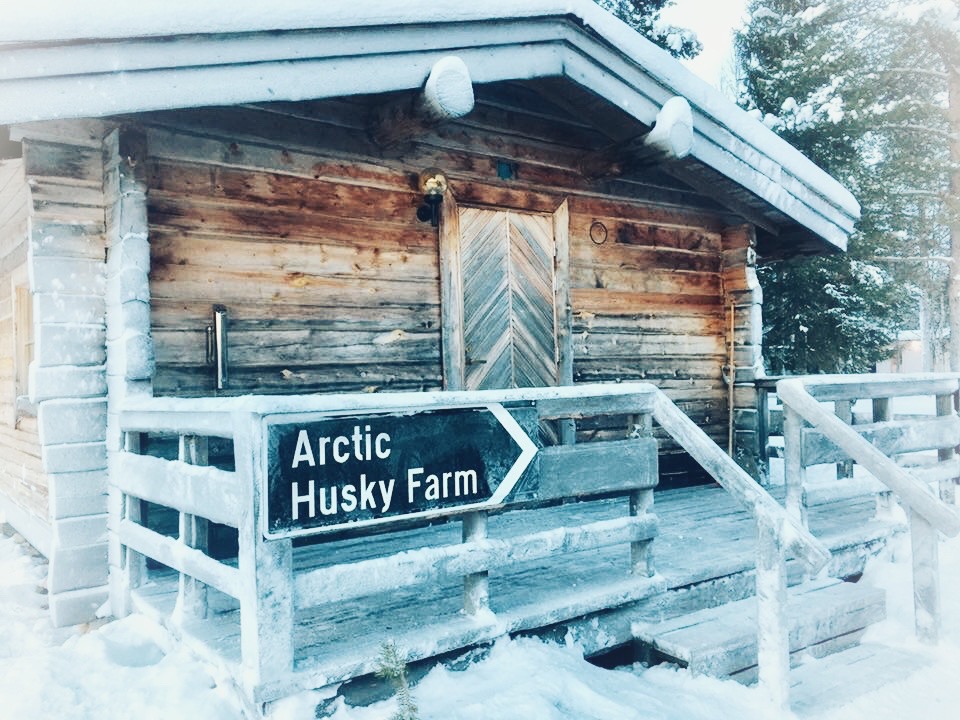 Arctic Husky Farm Cabin Quest To Find Santa in Finnish Lapland