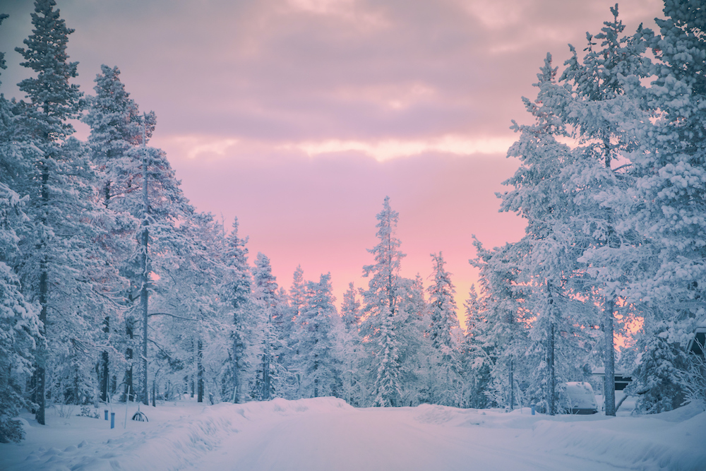 Sunset in snowy forest Lapland