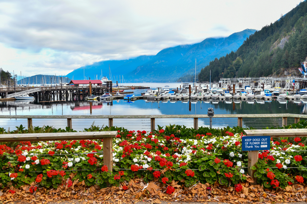 Horseshoe Bay Marina British Columbia