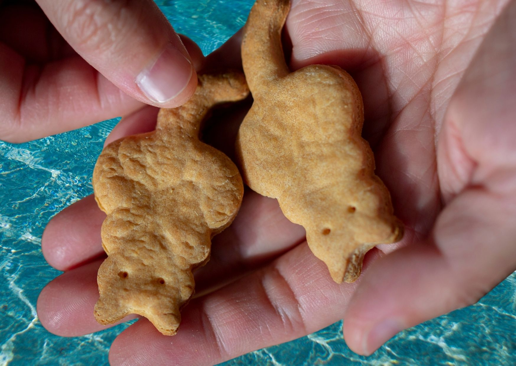 Animal Biscuits Dreamy 8-Day Cyclades Sailing Adventure: Part 1