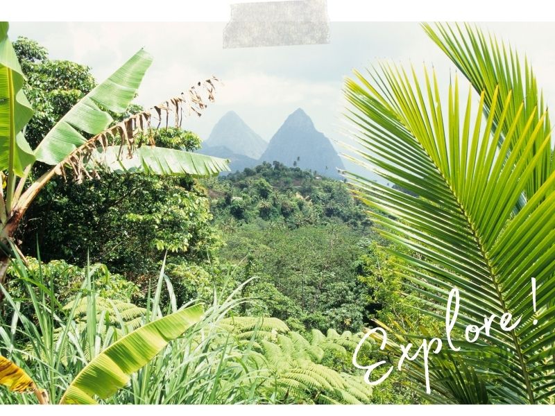St Lucia through vegetation