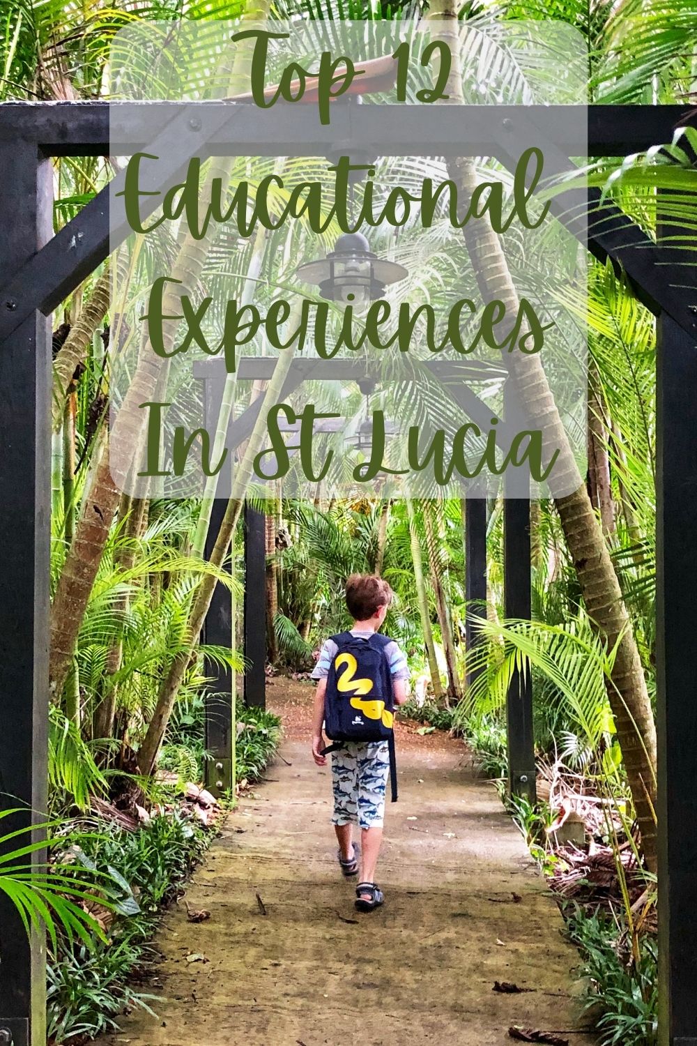 Header Top 12 Educational Experiences In St Lucia