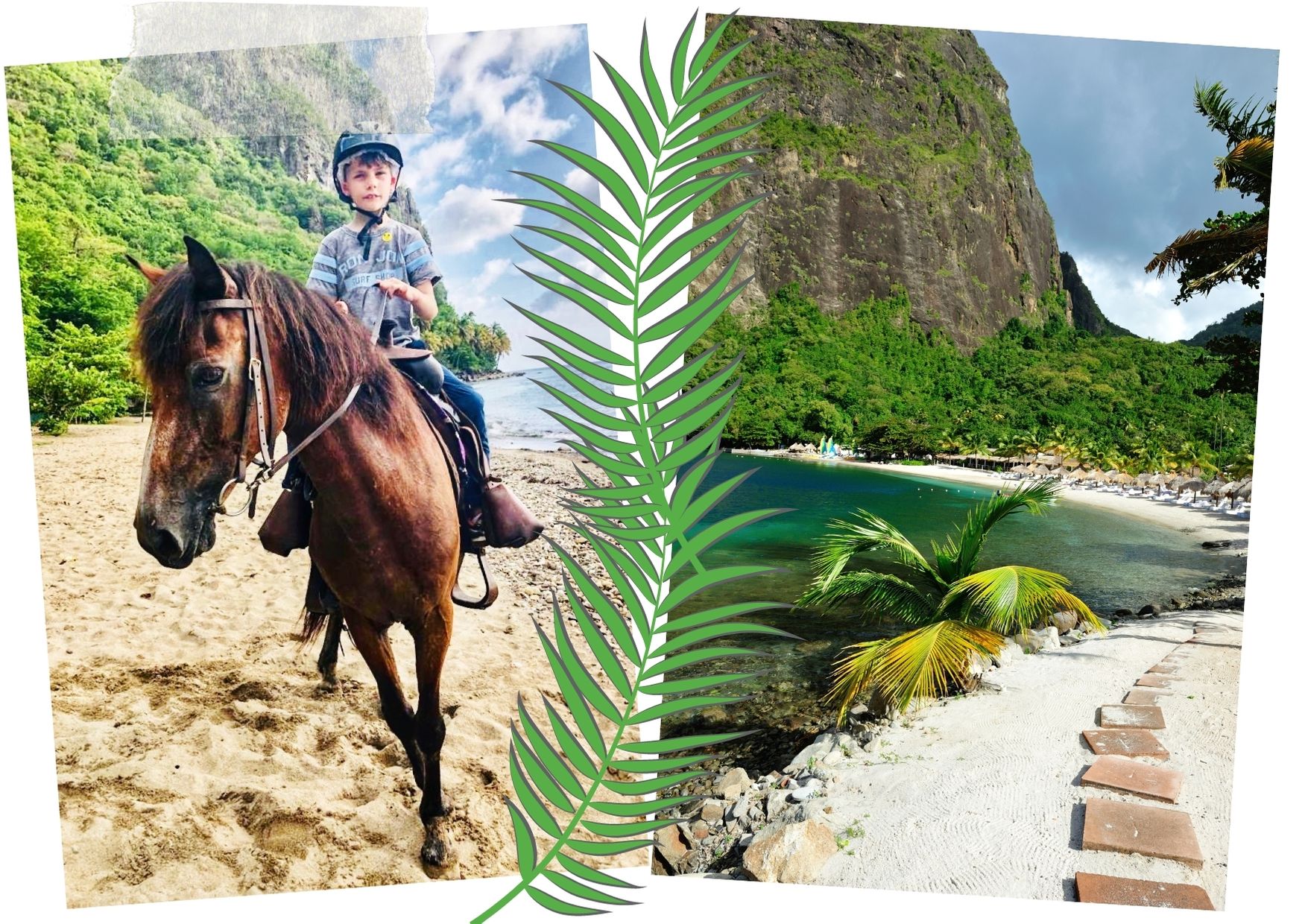 Horseback Riding Top 12 Educational Experiences In St Lucia