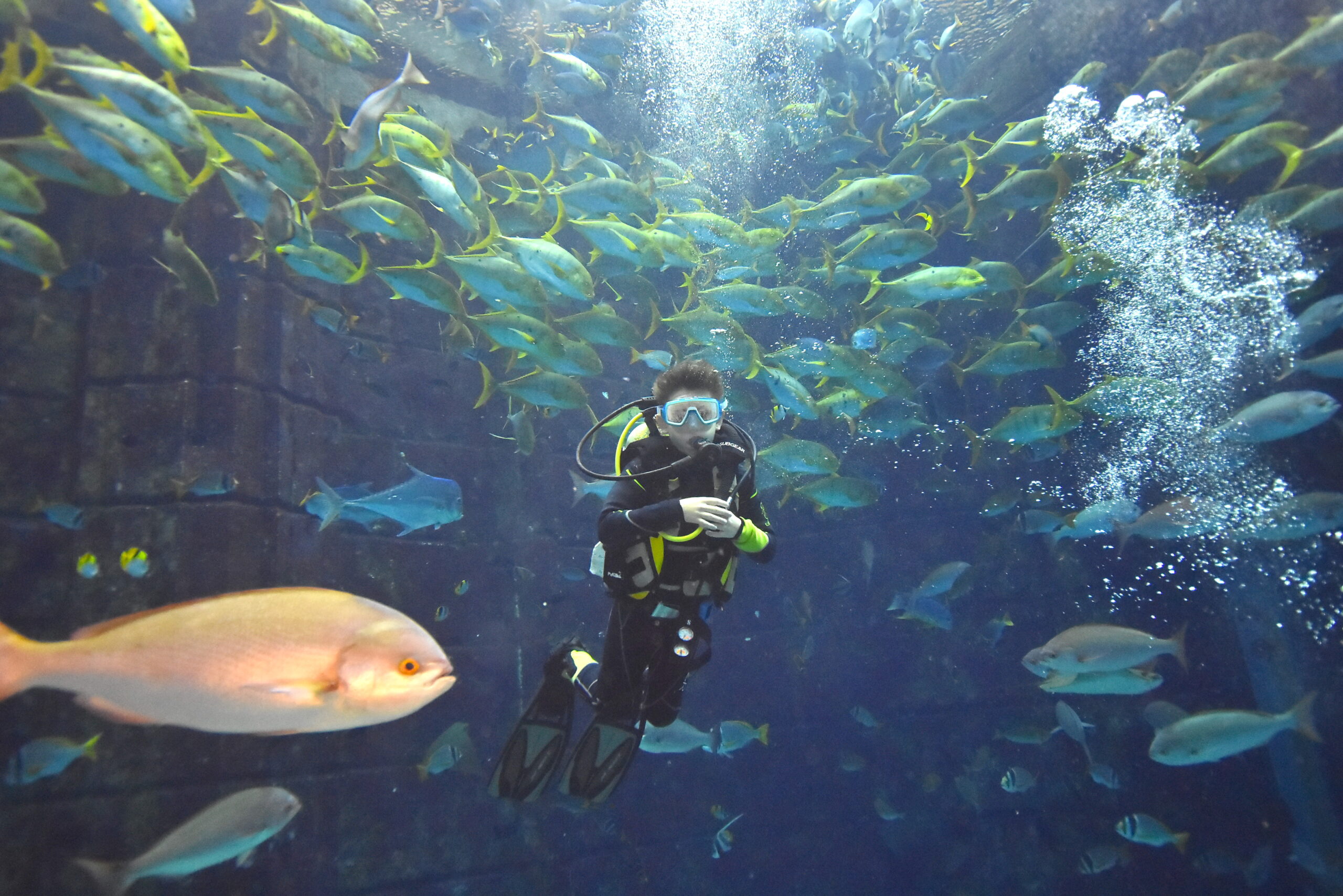 Diving Atlantis Dubai