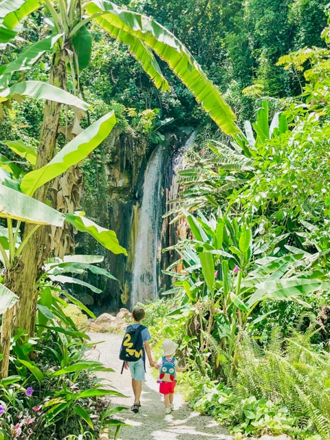Diamond Falls St Lucia