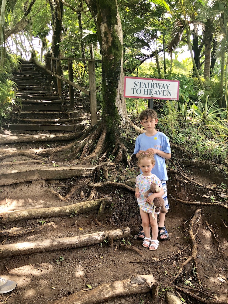 The Ultimate 7-Night Family Getaway In St Lucia Tet Paul Nature Trail
