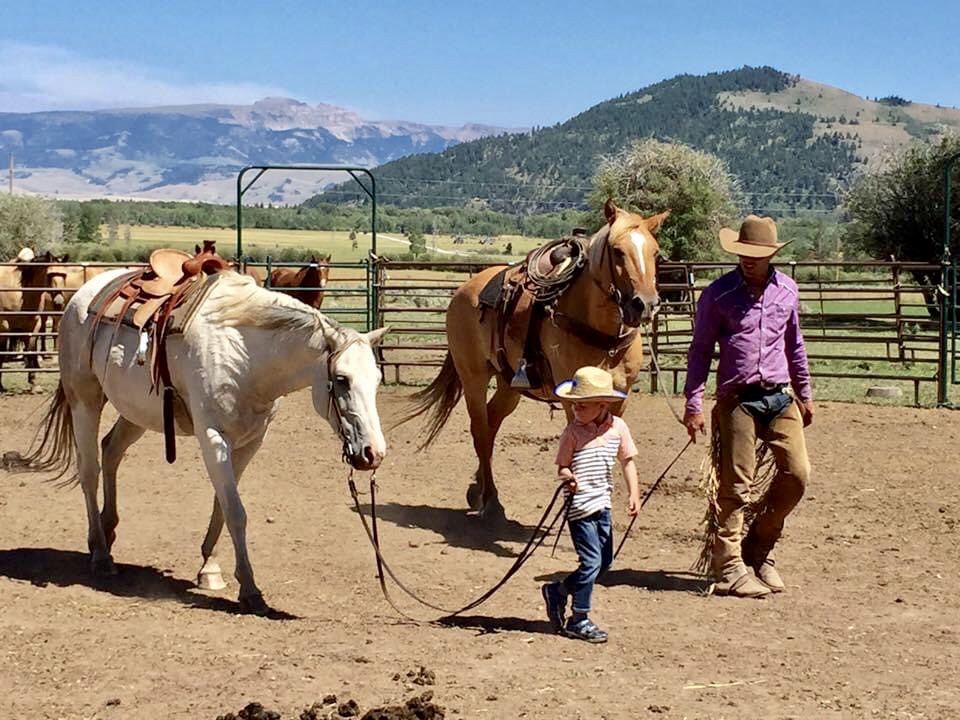 Cattle Herding in Wyoming