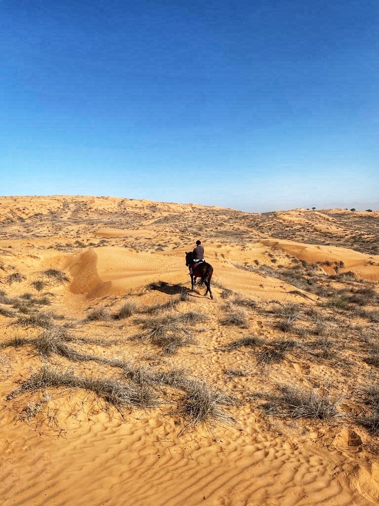 Horseback Riding in Desert