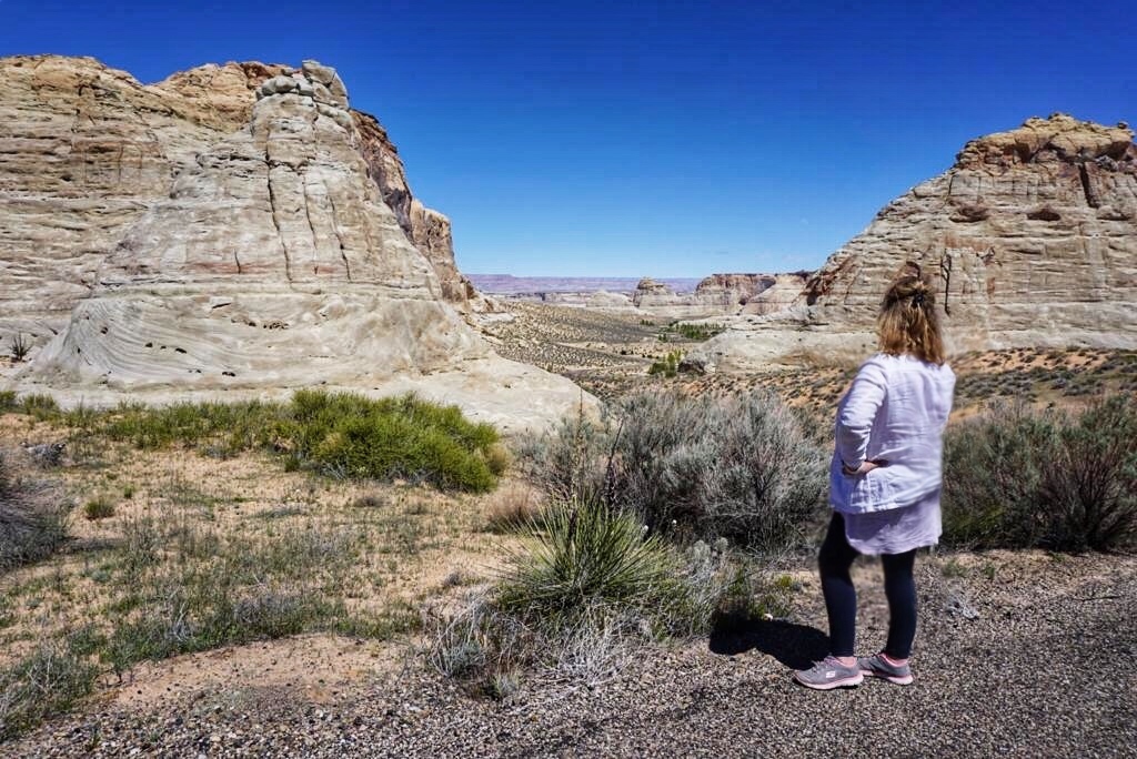 The road to Amangiri